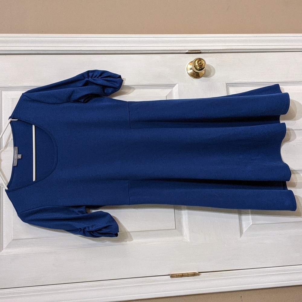 Blue NY Collection Petite Medium Fit and Flare Dress with Ruched 3/4 Sleeves